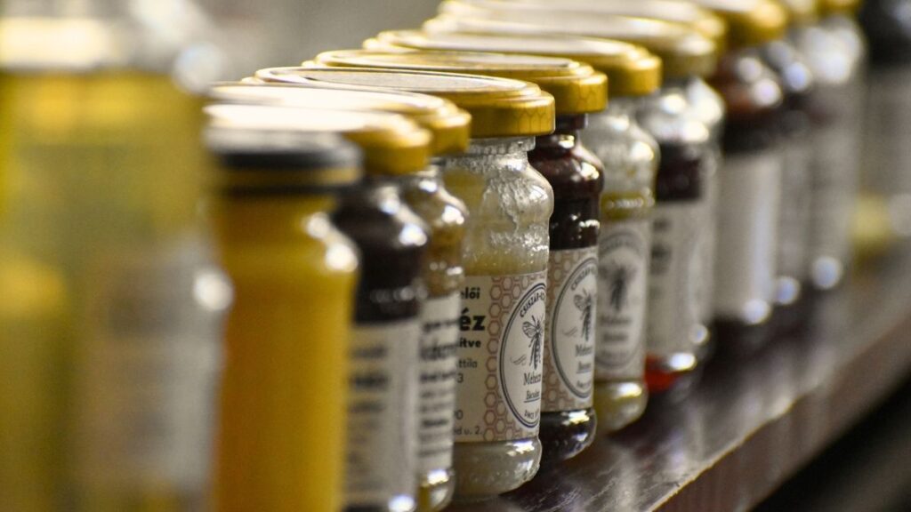 Videón a Csiszár–Kovács Méhészet diákoknak tartott bemutatója és mézkóstolója