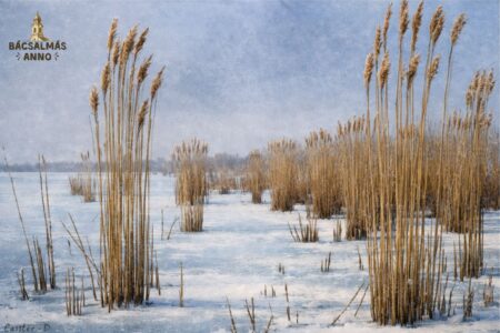 Száz éve festette meg Bácsalmás vidékét Czölder Dezső